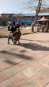 فست فود خلیج فارس