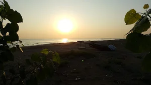 عسل بانو
