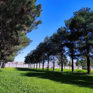 جهادکشاورزی بخش کوهنانی