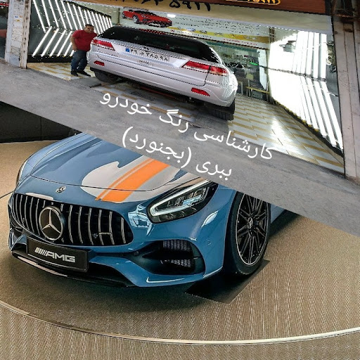 کارشناسی رنگ ببری