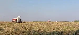 شیرین شهر