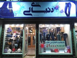دنیای لی