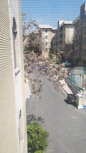 مجتمع مسکونی گلستان