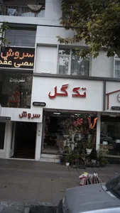 تک گل 2