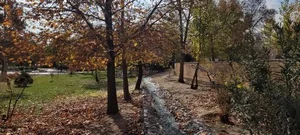 بوستان پلیس 2