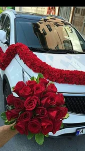 گل روژان