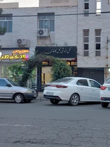 گل کاغذی 2