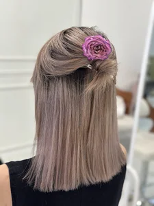 تبریز باغمیشه