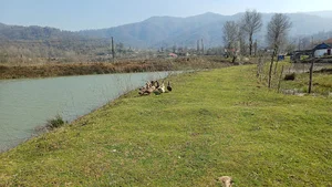 مژده