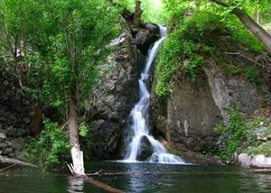 گلمکان