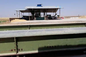 کارخانه اصلاح بذر شوکتی