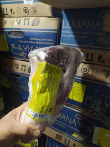سردخانه انا