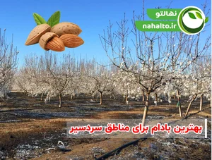 آئیله به فارسی | دیکشنری ترکی - جدول یاب
