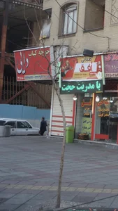 جوجه کباب دایی 3