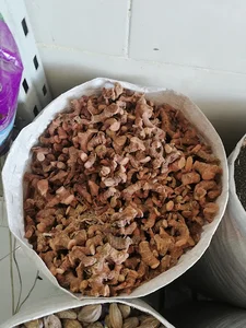 کانال عطاری ریحان