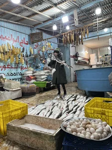 برنج فروشی نگین سفید دستک