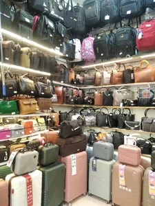 کیف و کفش سناتور 2