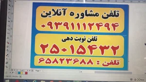دکتر مهدی فرخ سیر