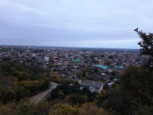 گرجی محله