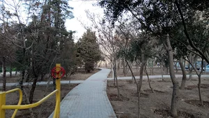 پارک زیتون
