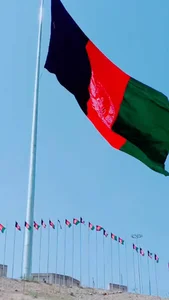نور حکمت
