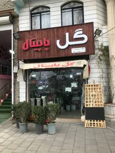 گل پاپیتال 5