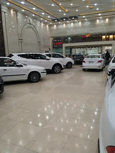 نمایشگاه اتومبیل قطبی فر
