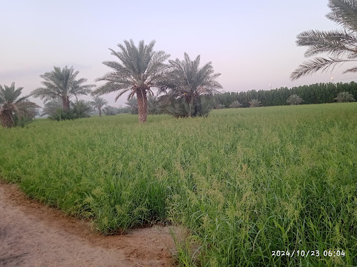 Abdali Agricultural Co-op