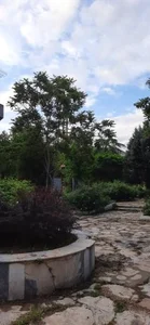 پارک فدک 5