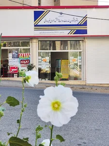 دفتر پیشخوان دولت تقوائی