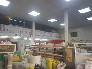 خشکبار متعبد