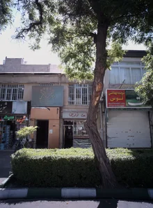 شوینده بهداشتی توس 2