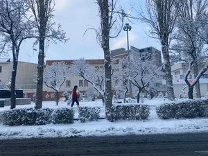مدرسه نامجو