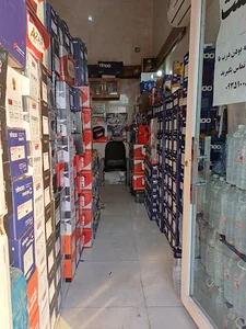 نمایندگی باطری دولتی