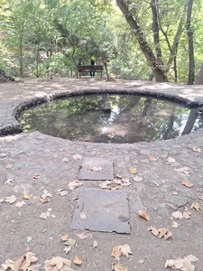 بوستان بندر