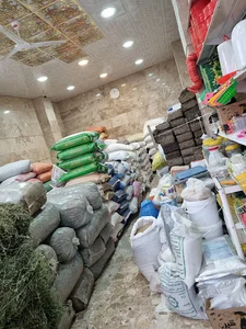خوراک دام و طیور میلاد طوفانی نمایندگی دستگاه جوجه کشی در گیلان