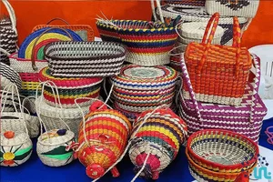 سوزن دوزان هنر آفرین چکن