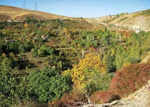 باع تالار گلها