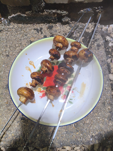 کته کبابی پسندیده