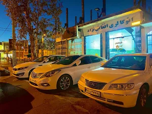 اتوگالری افغانی نژاد