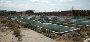 هلدینگ کیهان آبزی