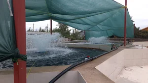 مرکز تکثیر بچه ماهی قزل دکتر رضایی