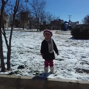 کوی پاسداران