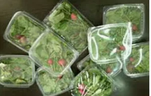 سبزی فروشی جنت شهر