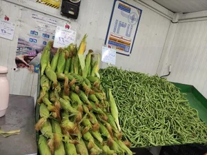 بازار محله ای میوه و تره بار ارکیده 3