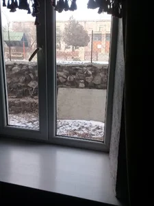 پارک شقایق