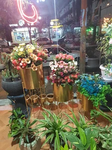 گل سرای یاس