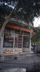 پروتئین رسولی 2