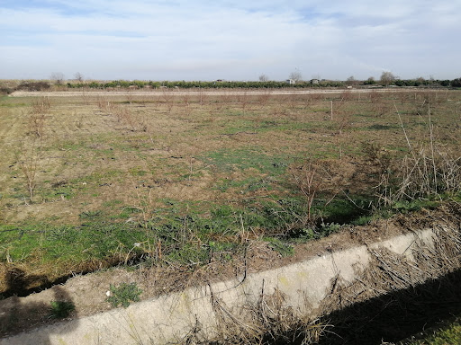 طبق ده