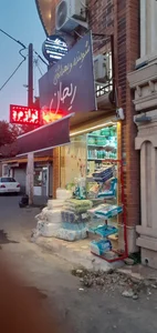 ارزانسرا شوینده بهداشتی بانو 2